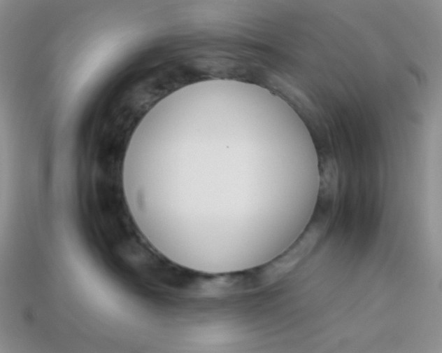 X0000113750430200910141030