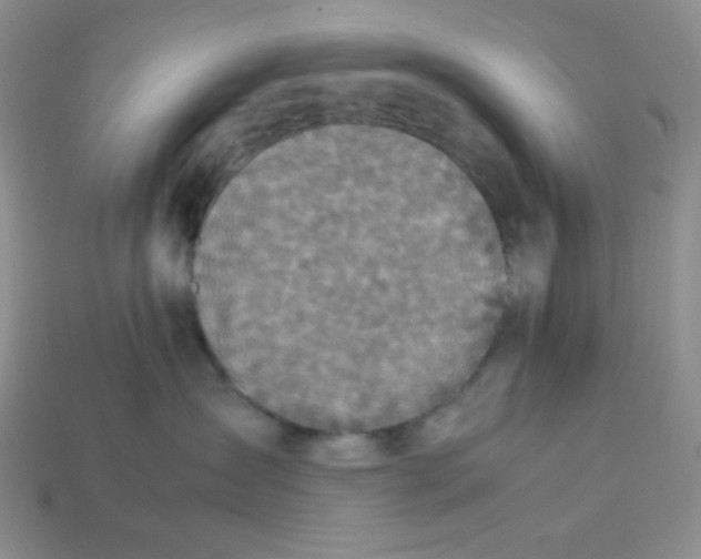 X0000113750431200910141030