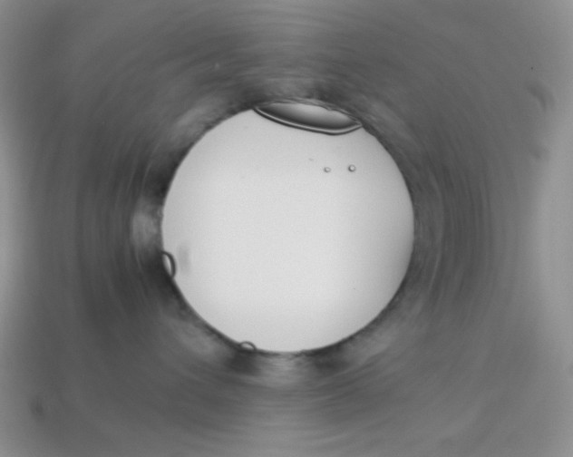 X0000113750432200910141030