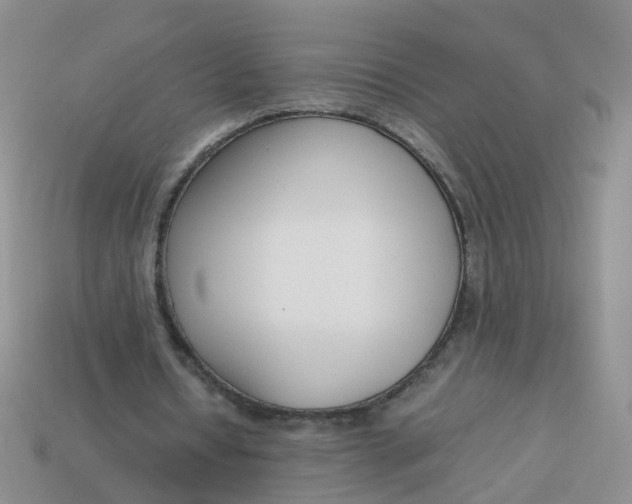 X0000113750434200910141029