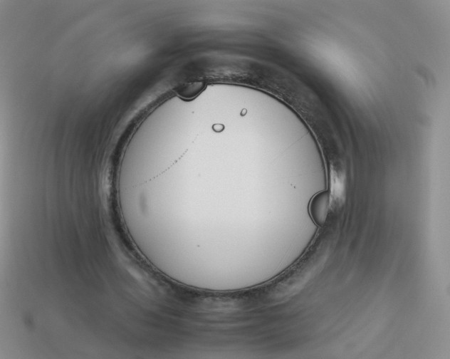 X0000113750435200910141029