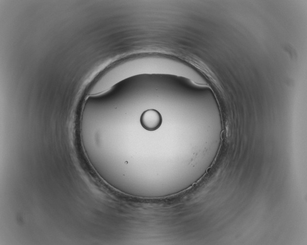 X0000113750436200910141029