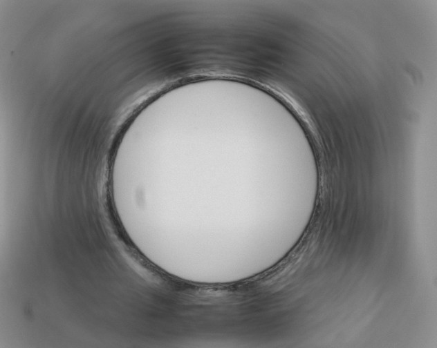 X0000113750437200910141029