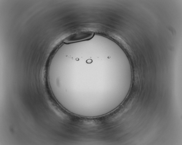 X0000113750439200910141029