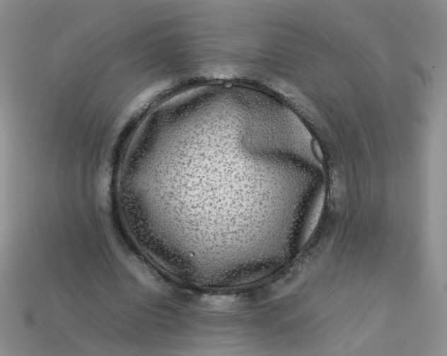 X0000113750440200910141029