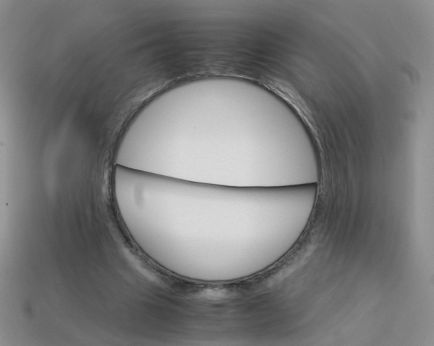 X0000113750441200910141029