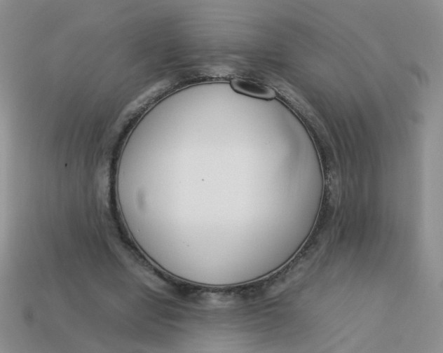 X0000113750442200910141029