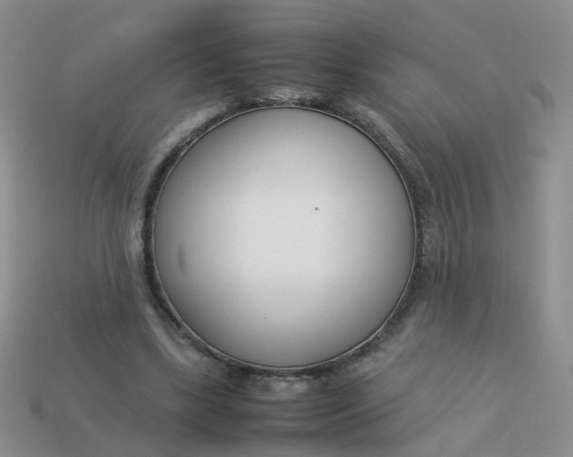 X0000113750443200910141029