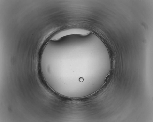 X0000113750444200910141029