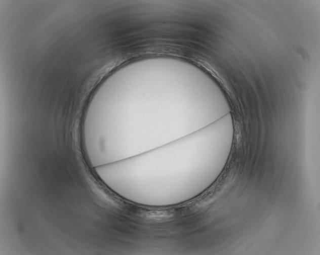 X0000113750445200910141029