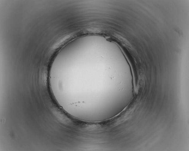 X0000113750446200910141029