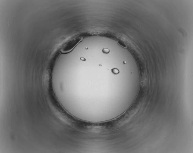 X0000113750448200910141029