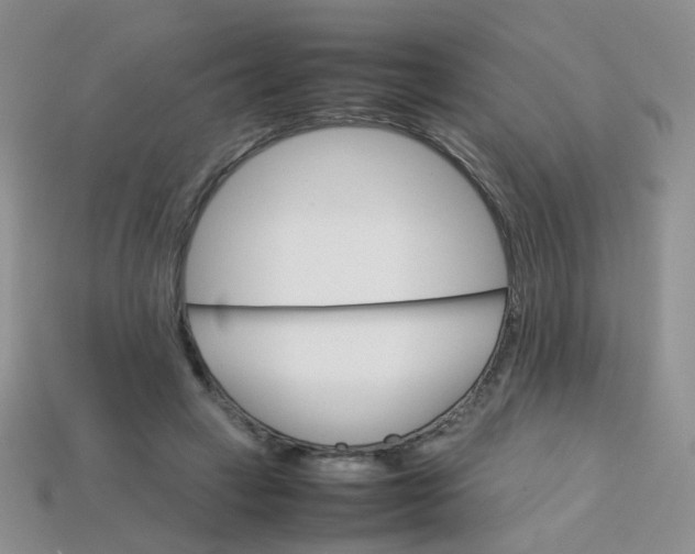 X0000113750449200910141029