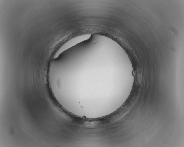 X0000113750450200910141029