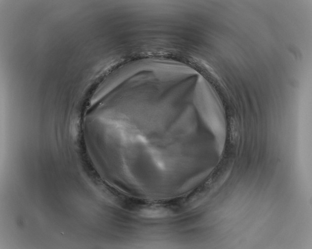 X0000113750451200910141029