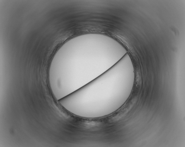 X0000113750453200910141029