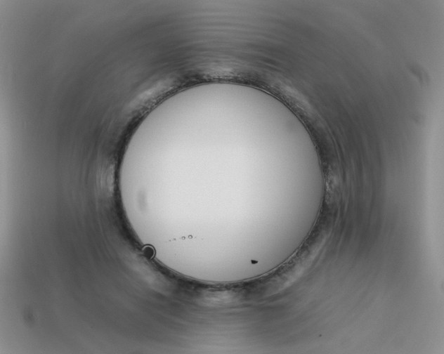 X0000113750454200910141029