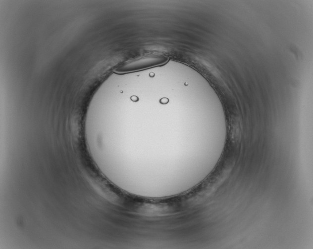 X0000113750455200910141029