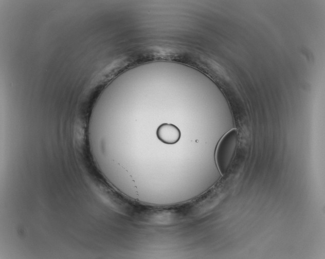 X0000113750456200910141029