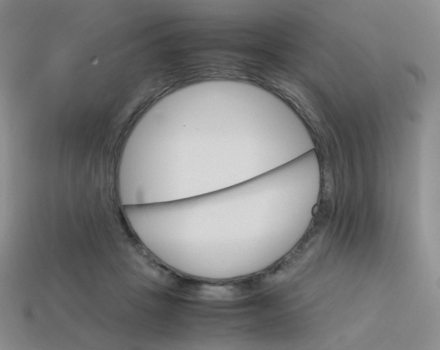 X0000113750457200910141029