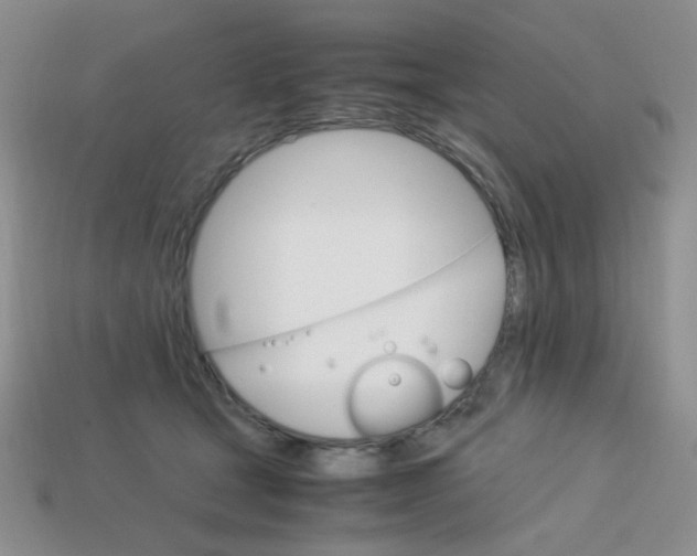 X0000113750465200910141030