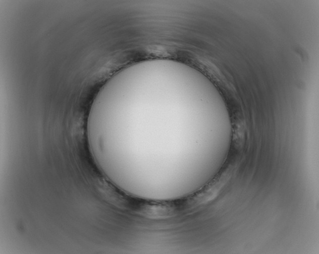 X0000113750466200910141030