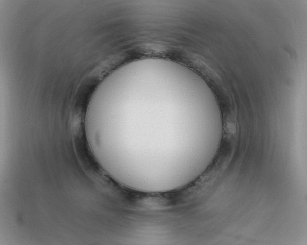 X0000113750468200910141030