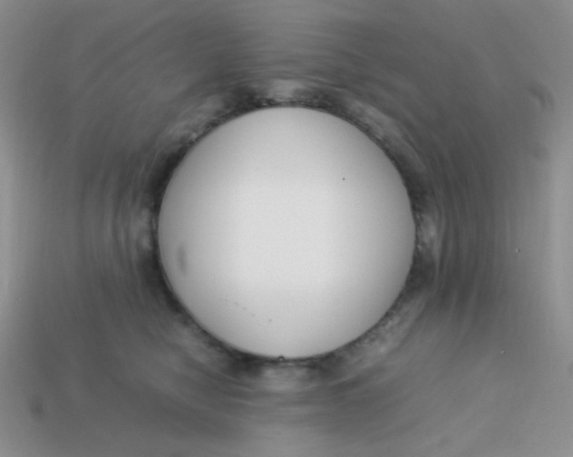 X0000113750470200910141030