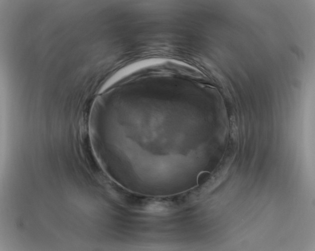 X0000113750471200910141030