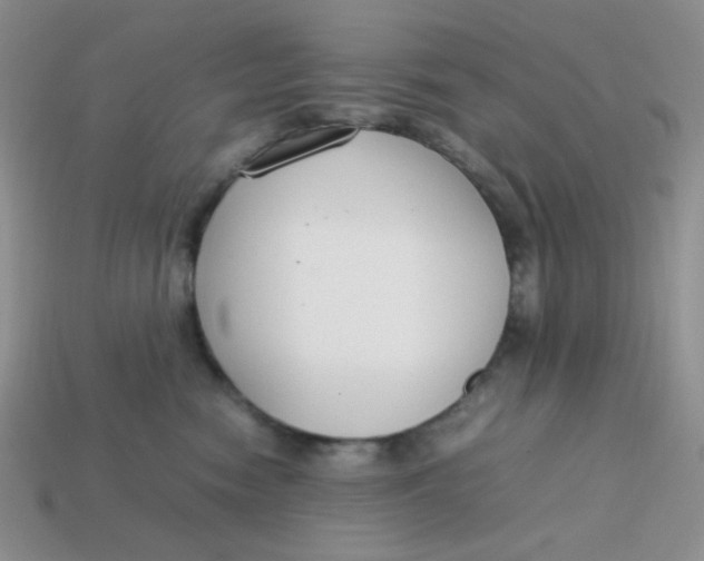 X0000113750474200910141030