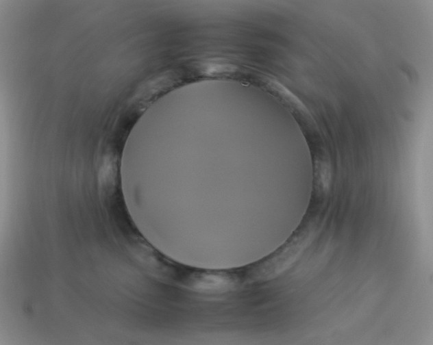 X0000113750475200910141030