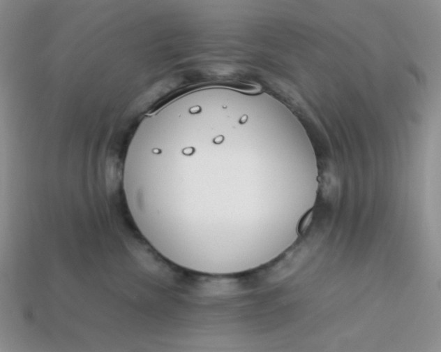 X0000113750476200910141030