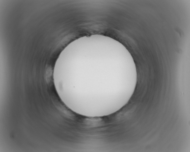 X0000113750480200910141030