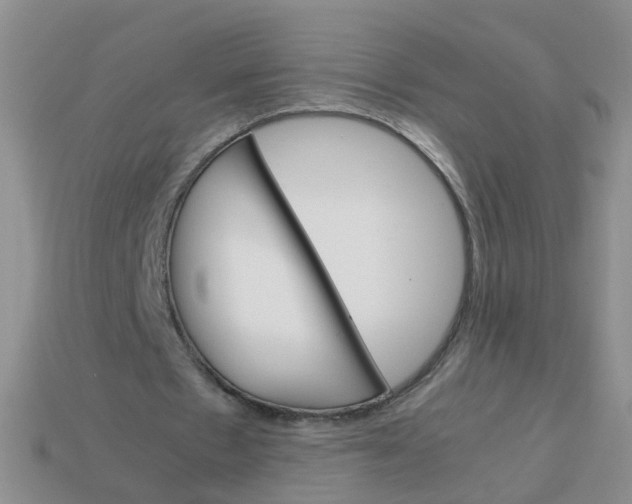 X0000113750481200910141029