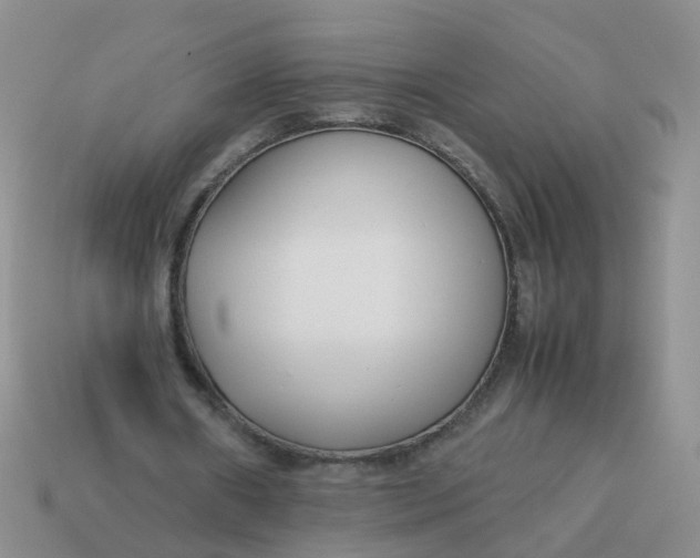 X0000113750482200910141029