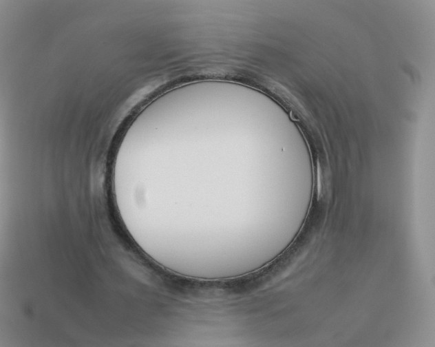 X0000113750483200910141029