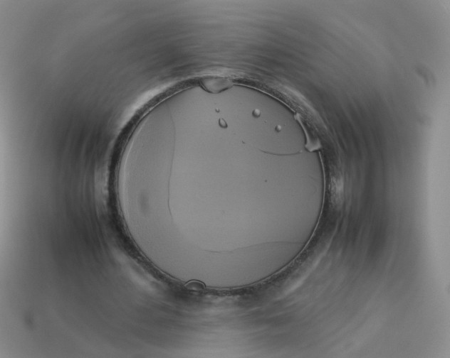 X0000113750484200910141029