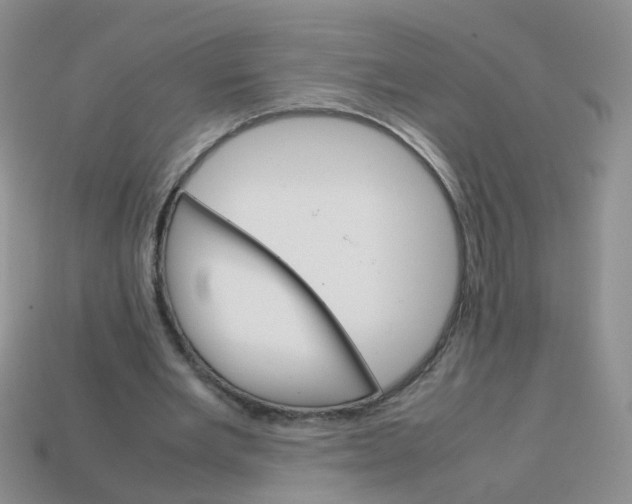 X0000113750485200910141029