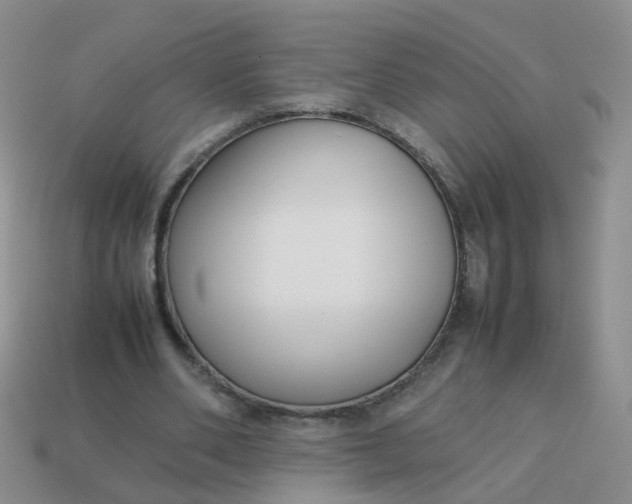 X0000113750486200910141029