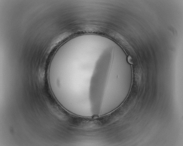 X0000113750488200910141029