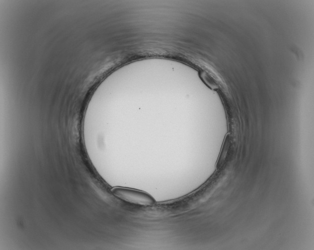 X0000113750489200910141029