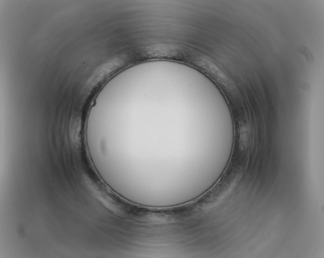 X0000113750490200910141029