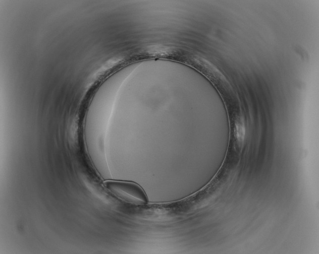 X0000113750492200910141029