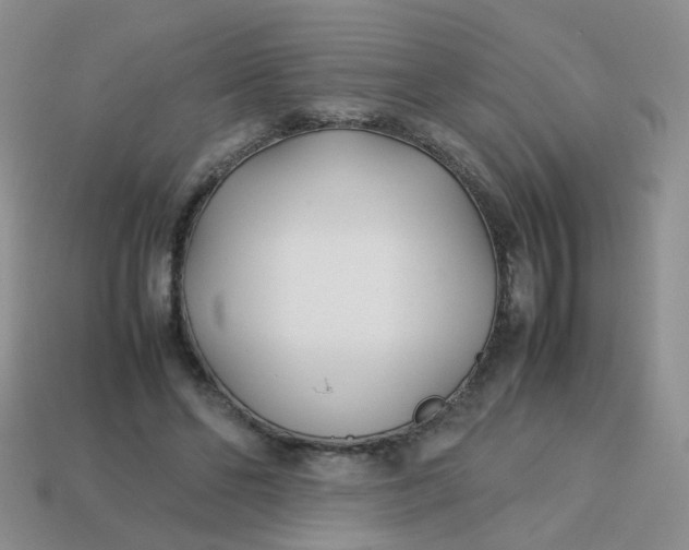 X0000113750494200910141029