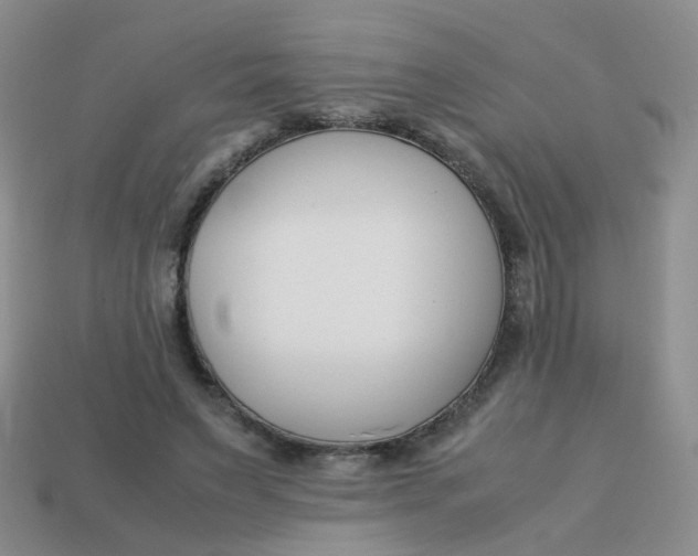 X0000113750495200910141029