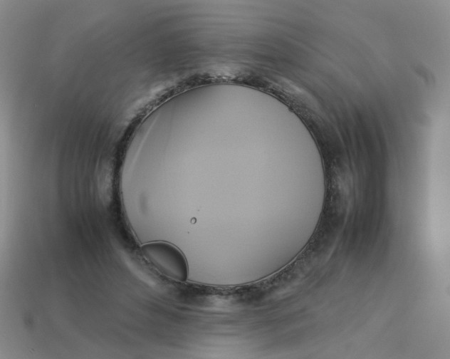 X0000113750496200910141029