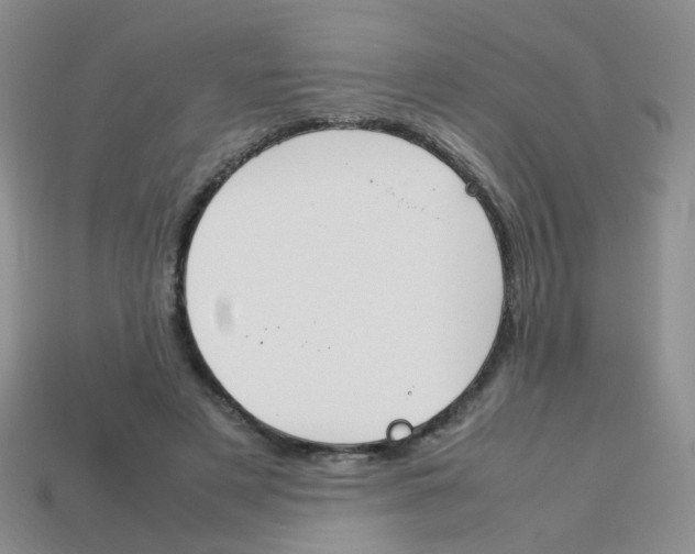 X0000113750497200910141029