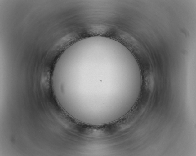 X0000113750498200910141029