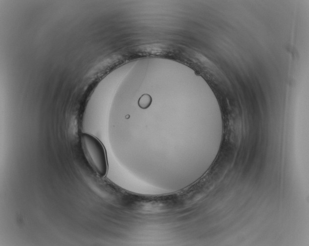 X0000113750500200910141029