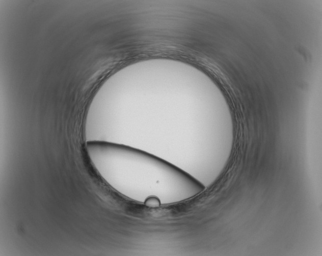 X0000113750501200910141029